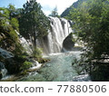 中國九寨溝 77880506