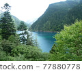 中國九寨溝 77880778