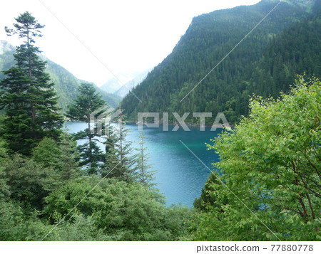 中國九寨溝 中國九寨溝 77880778