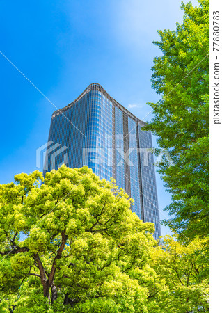 日比谷公園森林上東京東京中城日比谷的城市景觀 日比谷公園森林上東京東京中城日比谷的城市景觀 77880783
