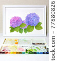 畫框內的水彩畫，3 朵繡球花，彩色照片 77880826