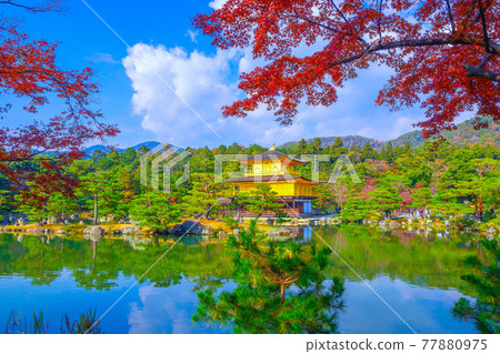 秋葉和金閣寺 秋葉和金閣寺 77880975