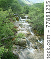 中國九寨溝 77881235