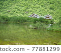 中國九寨溝 77881299
