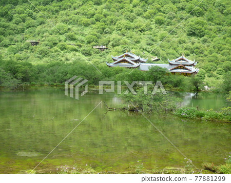 中國九寨溝 77881299