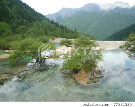 中國九寨溝 中國九寨溝 77881520