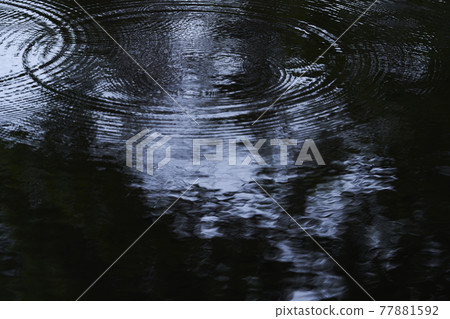 由落在水面上的雨滴製成的漣漪 由落在水面上的雨滴製成的漣漪 77881592