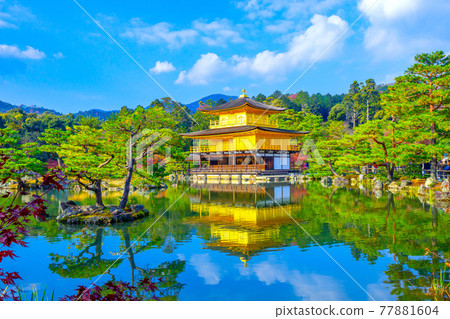 Landscape of Kinkakuji Temple (Kinkakuji Temple) Landscape of Kinkakuji Temple (Kinkakuji Temple) 77881604