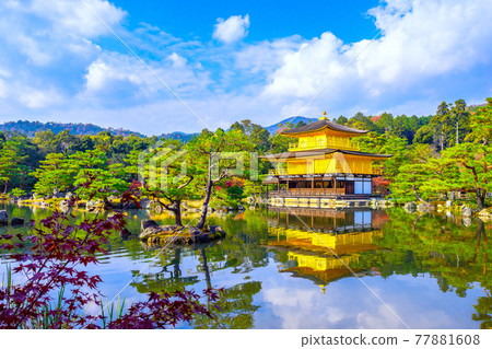 Landscape of Kinkakuji Temple (Kinkakuji Temple) 77881608