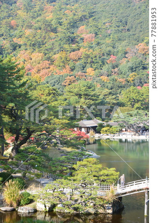 Autumn leaves, pond (Kuribayashi Park / Takamatsu City, Kagawa Prefecture) Autumn leaves, pond (Kuribayashi Park / Takamatsu City, Kagawa Prefecture) 77881953