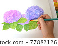 3 繡球花水彩筆手繪 77882126