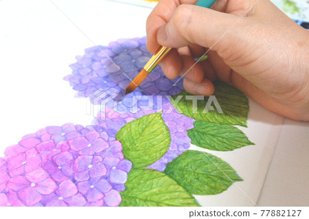 Painting from the side Work photo Hydrangea 3 brushes Paint Watercolor Hydrangea Painting from the side Work photo Hydrangea 3 brushes Paint Watercolor Hydrangea 77882127