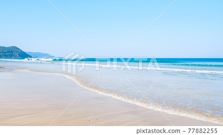 伊豆白濱之海(Shirahama Ohama beach) 伊豆白濱之海(Shirahama Ohama beach) 77882255