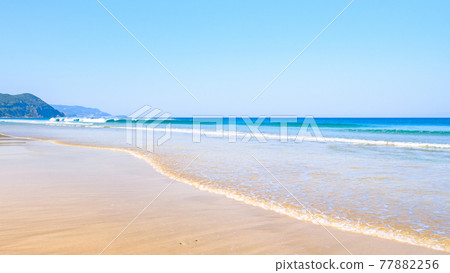 伊豆白濱之海（Shirahama Ohama beach） 77882256