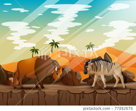 Cartoon a wildebeest and bison on the cliff Cartoon a wildebeest and bison on the cliff 77882678