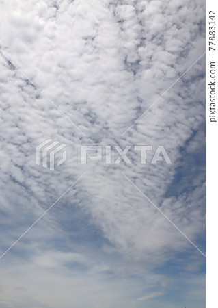 卷雲的圖像 卷雲的圖像 77883142