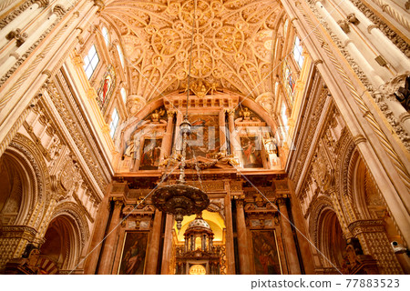 Mezquita (Spanish World Heritage Site) Mezquita (Spanish World Heritage Site) 77883523