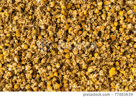 Background with dried camomile flowers. Top view Background with dried camomile flowers. Top view 77883639