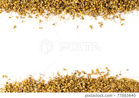 Camomile flowers on white background. Dried herbal tea 77883640