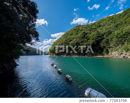 Tsushima autumn scenery of Funafoshi (west rower) Tsushima autumn scenery of Funafoshi (west rower) 77883706