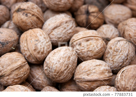 Pile of nuts Pile of nuts 77883731