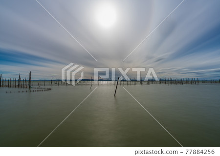 Fishing sticks and net in Albufera long exposure Fishing sticks and net in Albufera long exposure 77884256