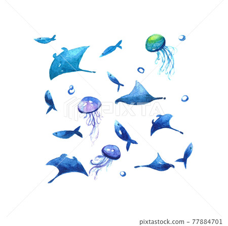 蝠鱝和魚水彩 蝠鱝和魚水彩 77884701