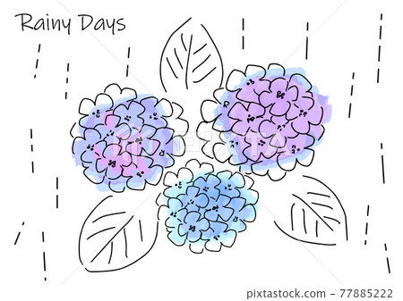 繡球花和雨的簡單觸摸圖 繡球花和雨的簡單觸摸圖 77885222