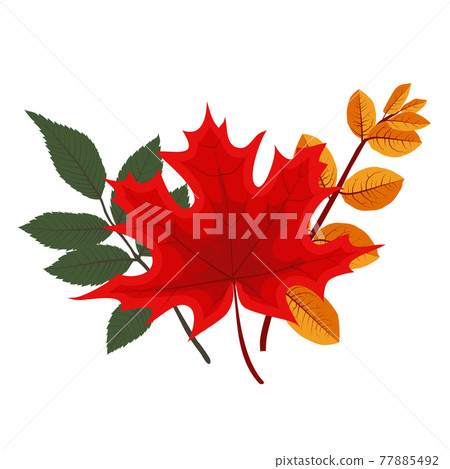 Autumn Falling Leaves Icon Isolated on White Background. Vector Illustration 77885492