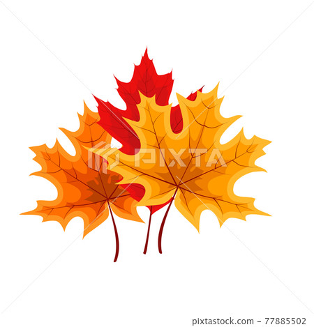 Autumn Falling Leaves Icon Isolated on White Background. Vector Illustration 77885502