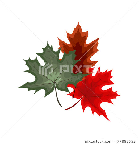 Autumn Falling Leaves Icon Isolated on White Background. Vector Illustration Autumn Falling Leaves Icon Isolated on White Background. Vector Illustration 77885552