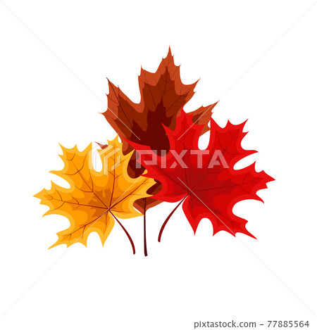 Autumn Falling Leaves Icon Isolated on White Background. Vector Illustration 77885564
