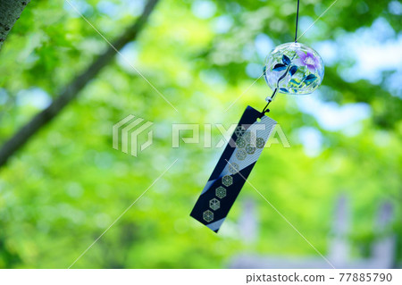 Green in the garden and cool feeling of wind chimes 9 Green in the garden and cool feeling of wind chimes 9 77885790