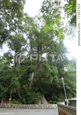 瀧原宮(伊勢神宮內庫) 瀧原宮(伊勢神宮內庫) 77887324