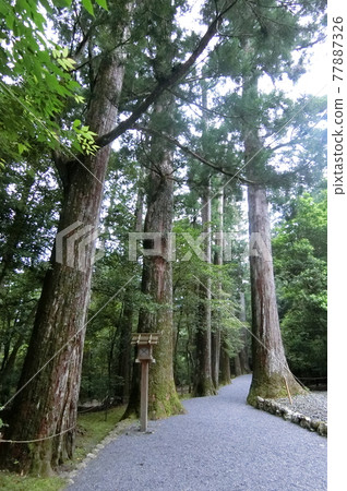 瀧原宮（伊勢神宮內庫） 77887326