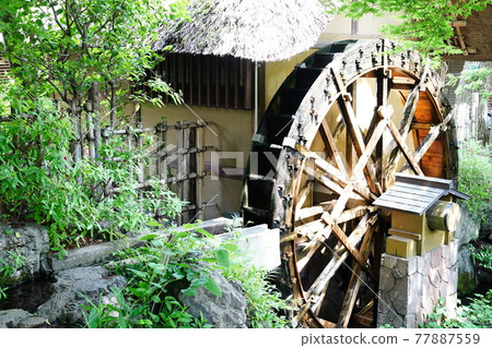 Jindaiji Waterwheel that goes around at the Jindaiji Waterwheel Museum, which stands near Benten Pond in Monzen-cho. 77887559