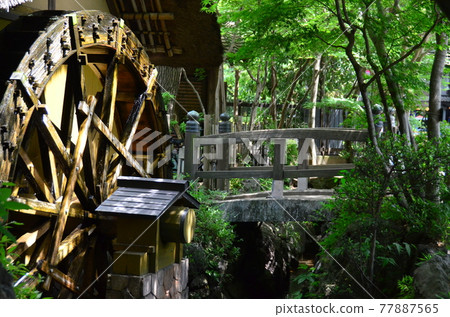 Jindaiji Waterwheel that goes around at the Jindaiji Waterwheel Museum, which stands near Benten Pond in Monzen-cho. Jindaiji Waterwheel that goes around at the Jindaiji Waterwheel Museum, which stands near Benten Pond in Monzen-cho. 77887565