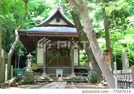 前三大惡人神大寺 被清新的綠意和溫暖的陽光環繞的神社大堂和神大寺 77887618