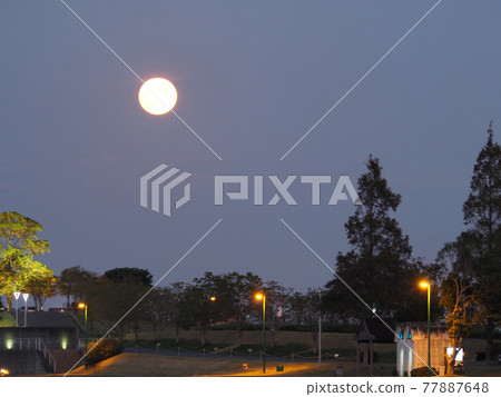 月亮從黃昏升到夜晚 月亮從黃昏升到夜晚 77887648