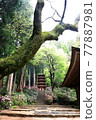 穆羅寺 77887981