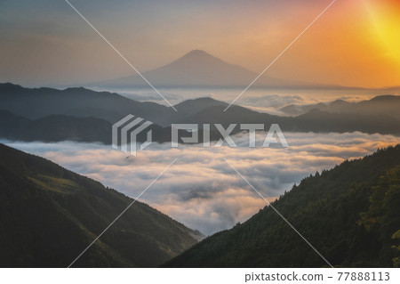 Fuji and the sea of clouds Fuji and the sea of clouds 77888113