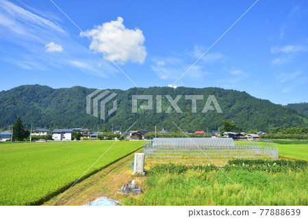 Scenery from Omagari Station to Nozoki Station on the Ou Line in the summer of 2020 and the scenery from the train window 77888639