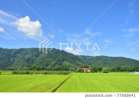 Scenery from Omagari Station to Nozoki Station on the Ou Line in the summer of 2020 and the scenery from the train window Scenery from Omagari Station to Nozoki Station on the Ou Line in the summer of 2020 and the scenery from the train window 77888641