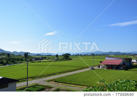 2020年夏季從奧羽線大曲站到野造站的風景和電車窗外的風景 77888680