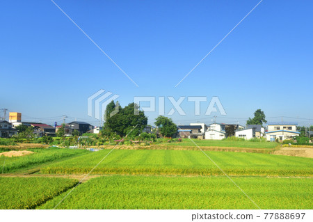 Scenery from Omagari Station to Nozoki Station on the Ou Line in the summer of 2020 and the scenery from the train window 77888697