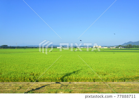 2020年夏季從奧羽線大曲站到野造站的風景和電車窗外的風景 2020年夏季從奧羽線大曲站到野造站的風景和電車窗外的風景 77888711