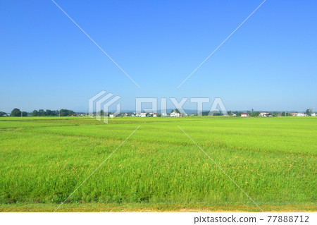 2020年夏季從奧羽線大曲站到野造站的風景和電車窗外的風景 2020年夏季從奧羽線大曲站到野造站的風景和電車窗外的風景 77888712