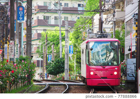 Toden-Arakawa Line (Tokyo Sakura Tram) | Between Mukaihara and Otsuka Station Toden-Arakawa Line (Tokyo Sakura Tram) | Between Mukaihara and Otsuka Station 77888866