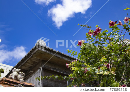 Tsuboya Yachimun Street 77889218