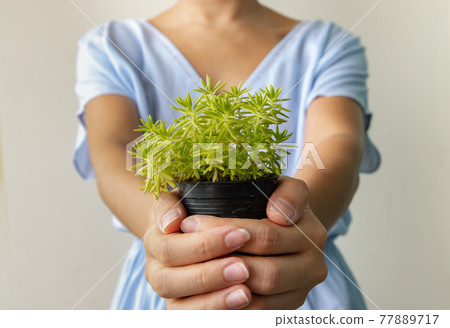A woman in a blue dress is holding a small green plant in hands and giving it to the camera. 77889717